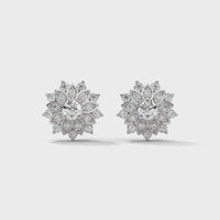 Cluster Silver Earrings