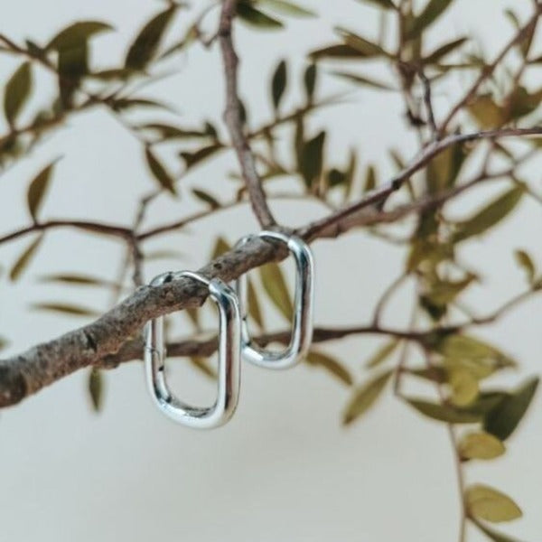 silver earrings